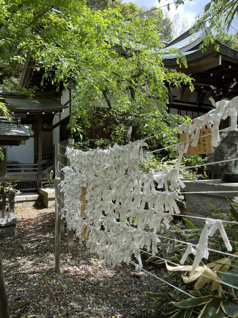 Fortune-telling hook